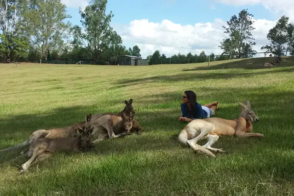 Estudiante tumbada en el césped junto a un grupo de canguros