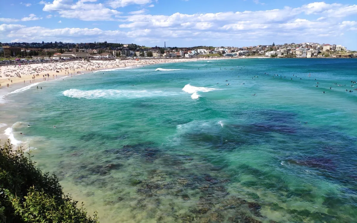 Vista de la bahía de Bondi desde el sendero de la costa, con el agua turquesa