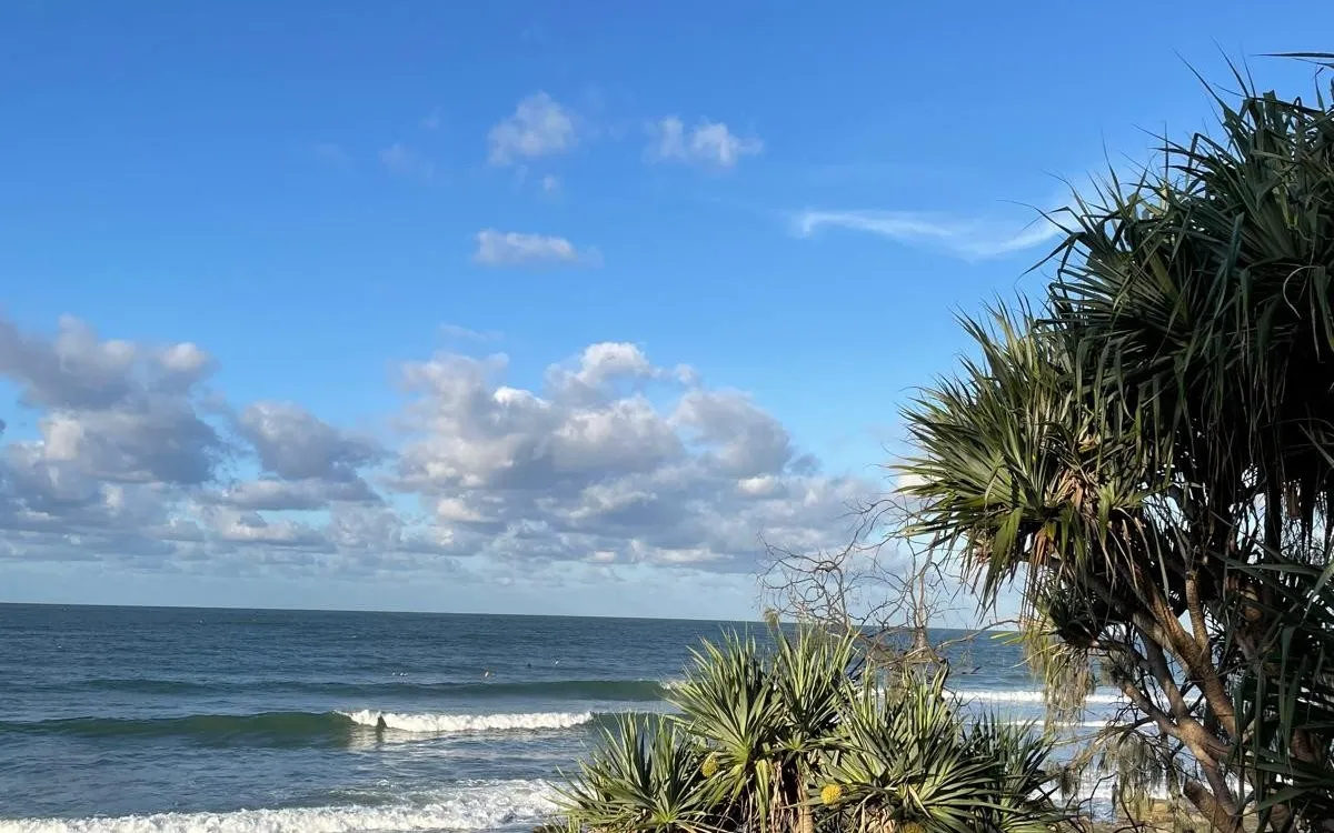 Pándanos junto al mar, con las olas y el cielo azul