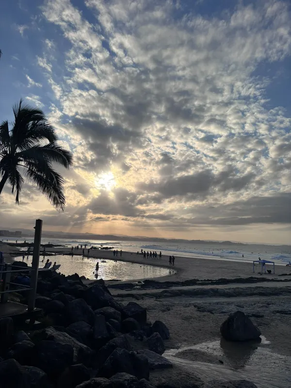 Atardecer en una playa de Gold Coast con una palmera