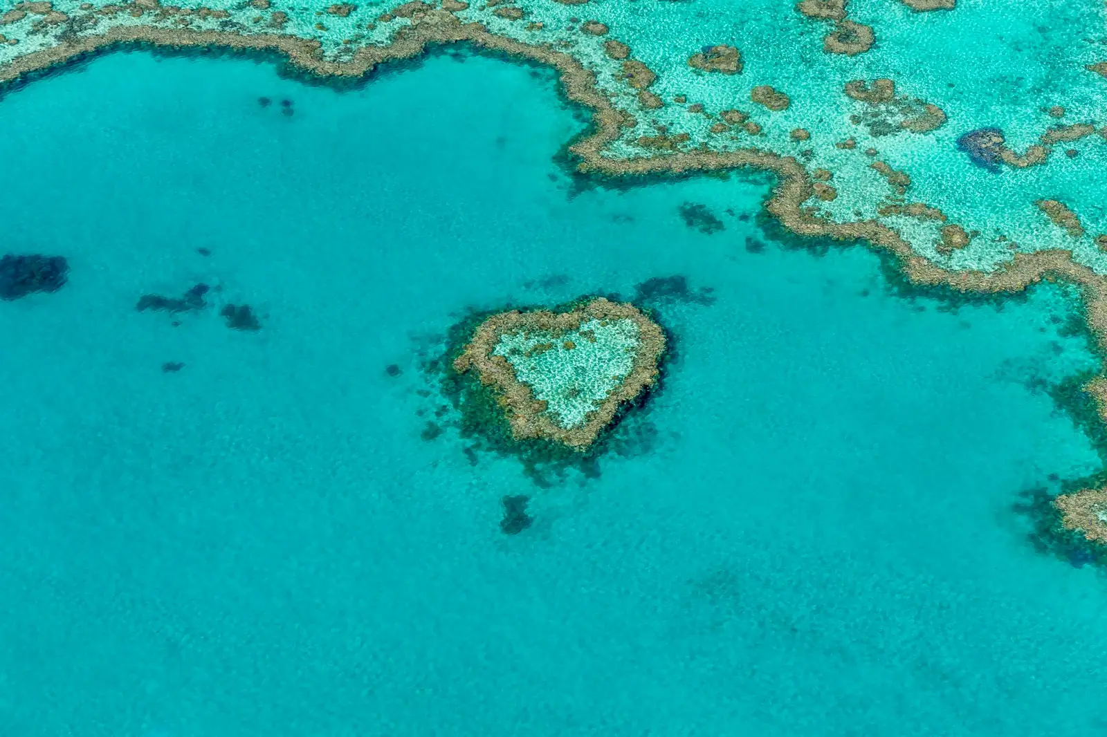 Playa de arena blanca y agua turquesa en las Whitsundays