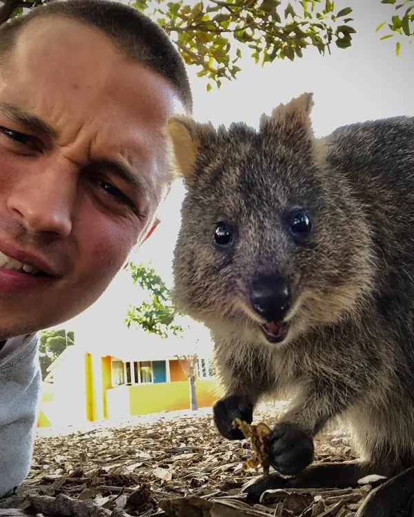 Estudiante de Salta con una quokka en Rottnest