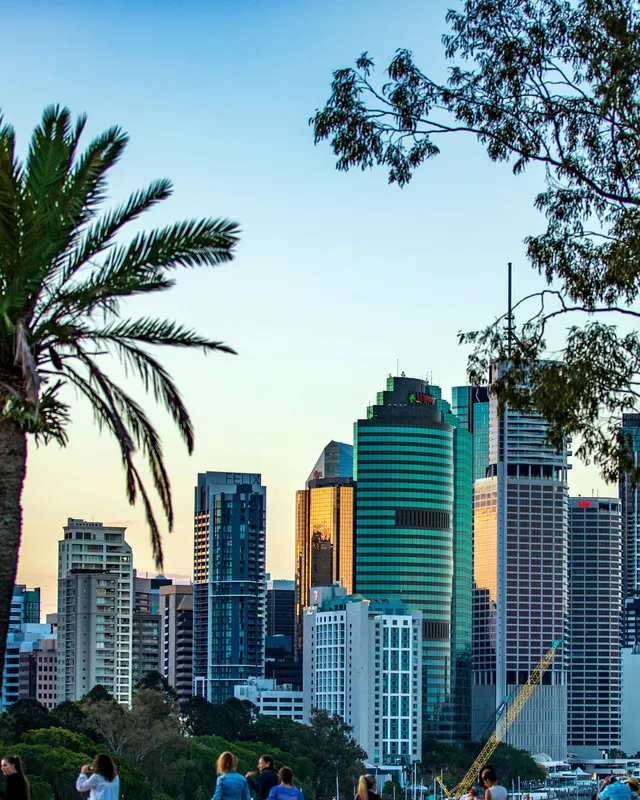 Palmeras y rascacielos en el centro de Brisbane