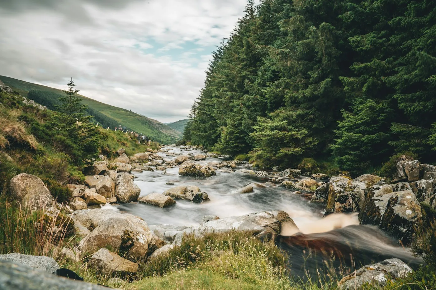 Río entre bosques en las montañas de Wicklow, cerca de Dublín