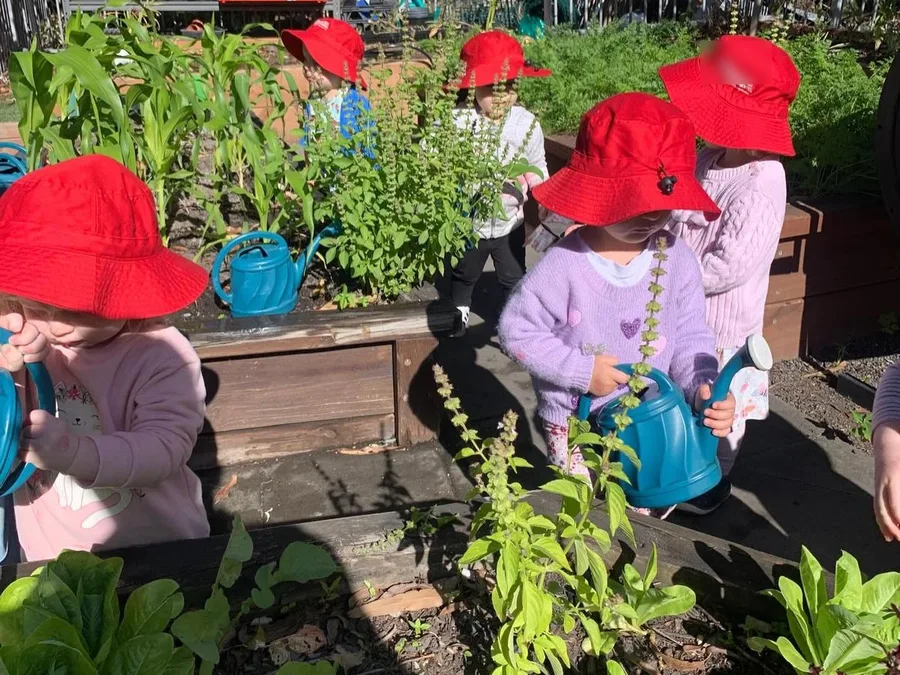 Niños con gorro rojo regando el huerto de una escuela infantil de Gold Coast