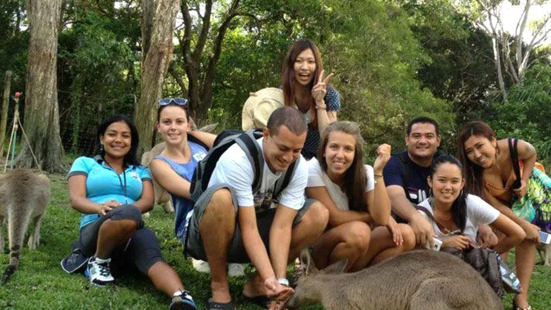 Estudiantes de Pacific English con un canguro en una excursión