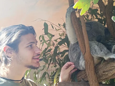 Iván, estudiante de Salta, junto a un koala en Sunshine Coast