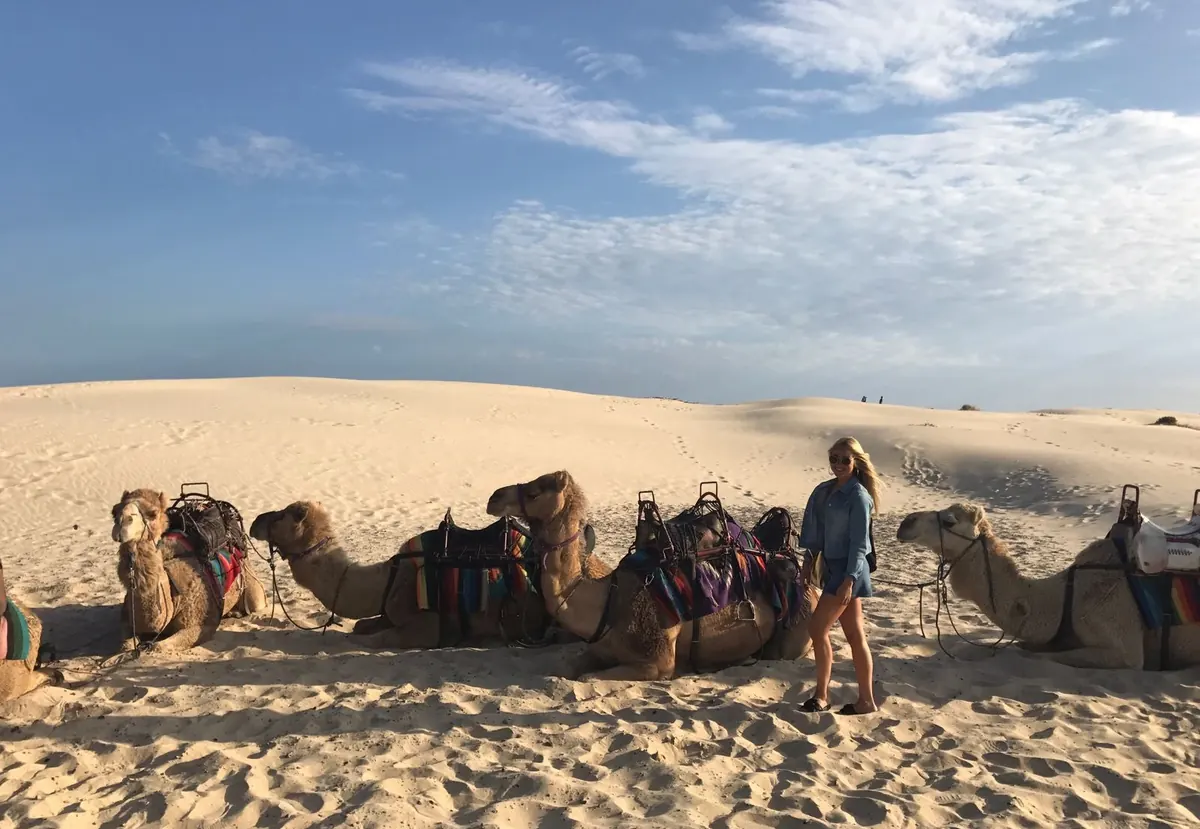 Camellos en las dunas de Port Stephens, con una estudiante al lado