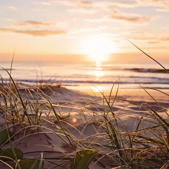 Atardeceres eternos en Australia