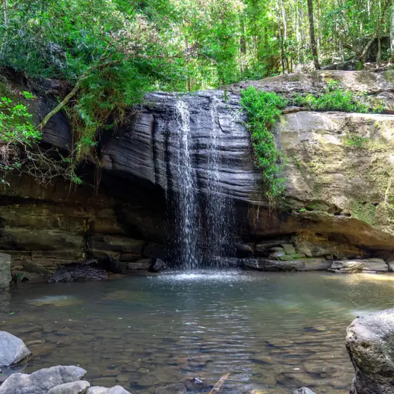 Domingos de cascada en Australia