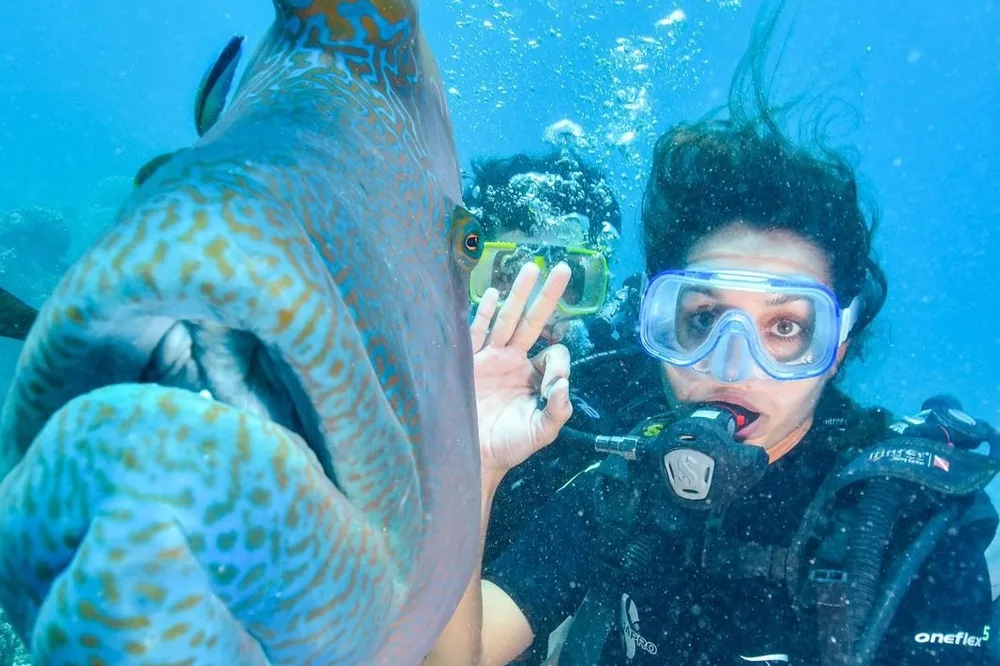 Estudiante de Salta buceando junto a un pez Napoleón en la Gran Barrera de Coral